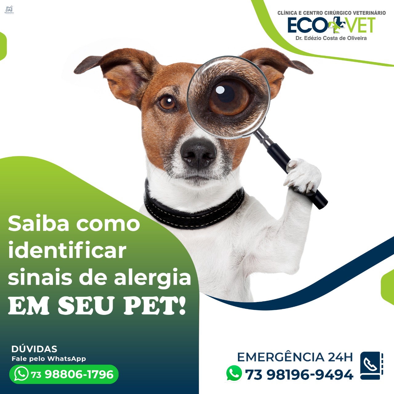 A alergia em cachorro funciona como uma espécie de defesa do organismo contra algo externo que o corpo identifica como ameaça. A alergia em cachorro funciona como uma espécie de defesa do organismo contra algo externo que o corpo identifica como ameaça.