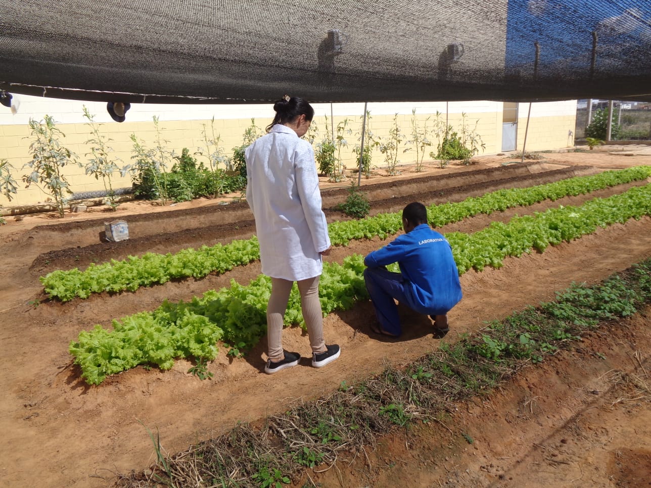 Conjunto Penal de Brumado aposta em artesanato e horta como instrumentos de ressocialização Conjunto Penal de Brumado aposta em artesanato e horta como instrumentos de ressocialização