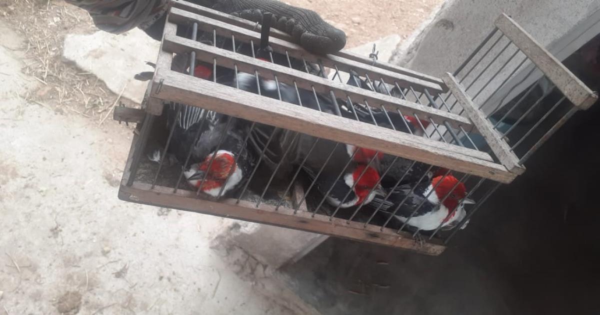  Notícias Católicas