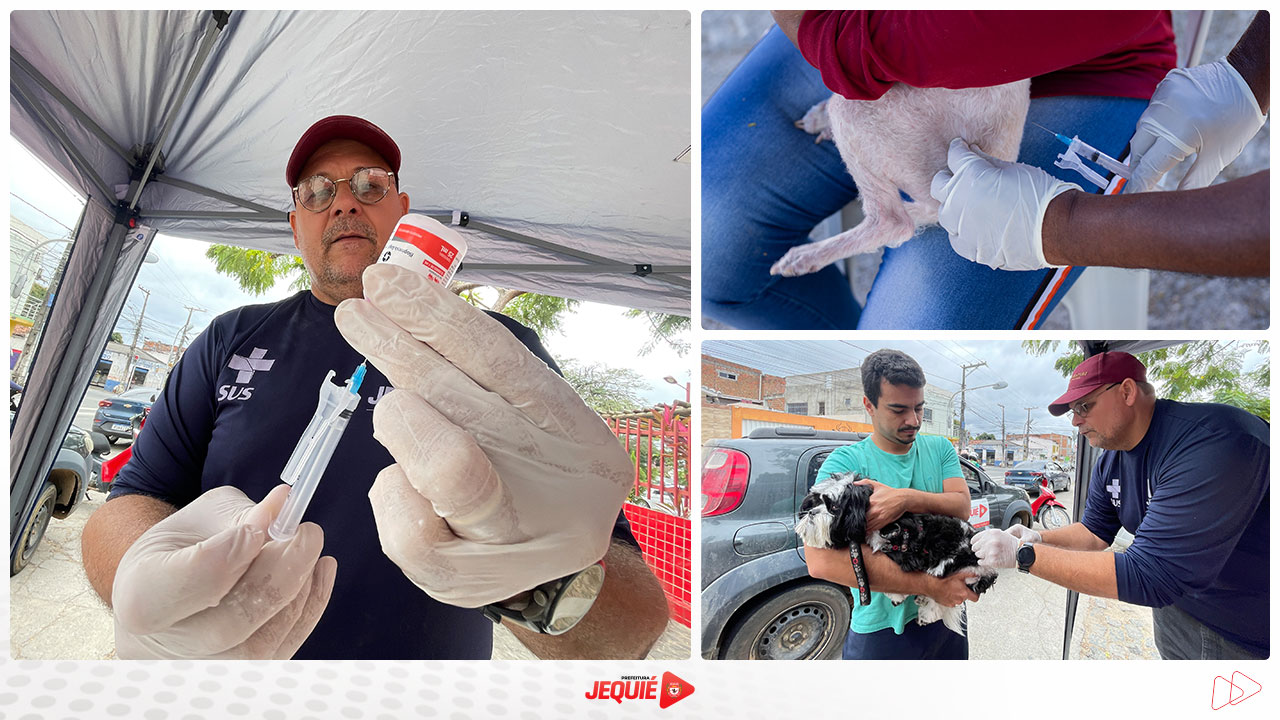 Prefeitura de Jequié ultrapassa 3,2 mil cães e gatos vacinados no Dia D da Campanha Antirrábica Prefeitura de Jequié ultrapassa 3,2 mil cães e gatos vacinados no Dia D da Campanha Antirrábica