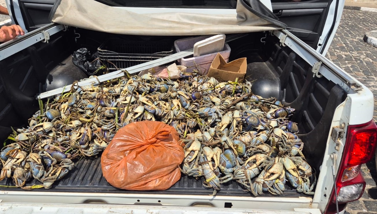 PM realiza apreensão de animais silvestres durante operação de defeso em Valença